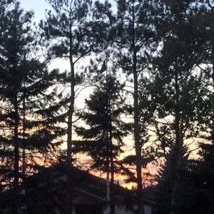 Meet your Posher, Paula